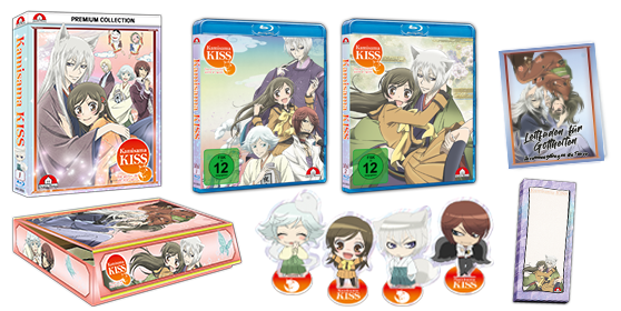 Kamisama Kiss Anime House